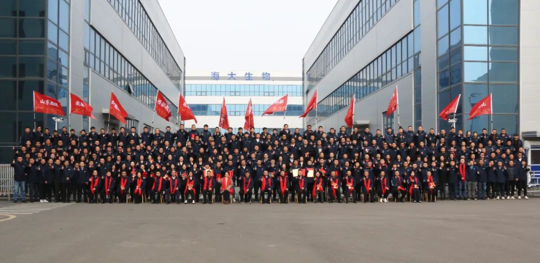 tqb谈球吧集团举行2024年度总结表彰大会